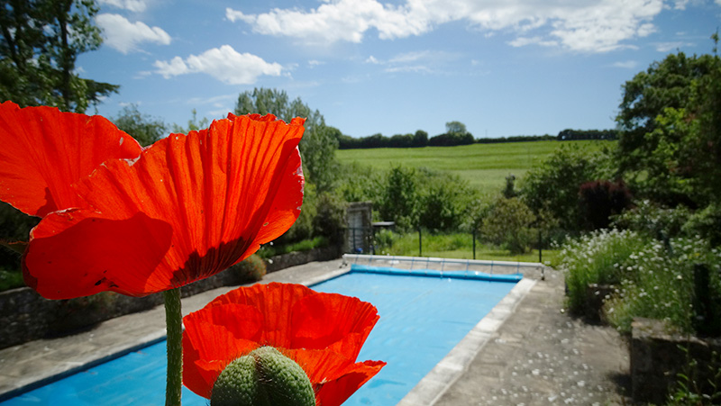 the gardens and swimming pool